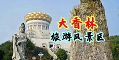 男人的鸡插入女孩的逼里的视频黄色视频中国浙江-绍兴大香林旅游风景区